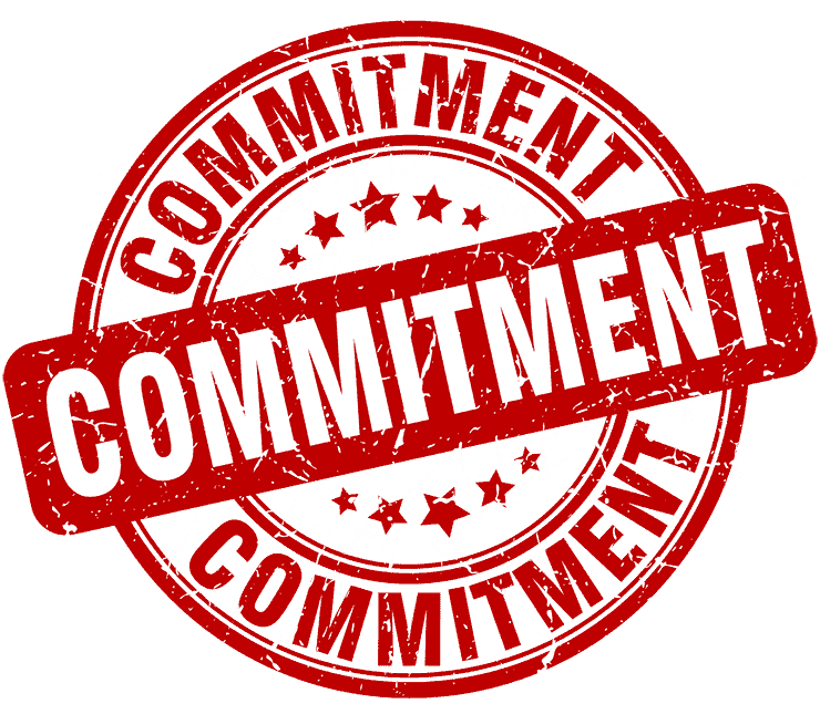 Top Digital Marketing Agency Commitment Icon